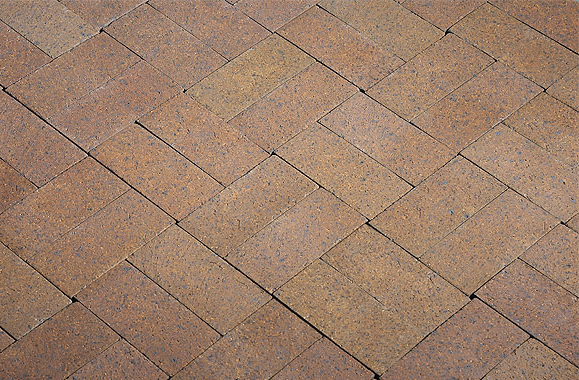 brick floor Blank Meme Template