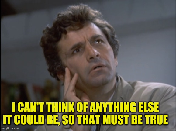 Columbo | I CAN'T THINK OF ANYTHING ELSE IT COULD BE, SO THAT MUST BE TRUE | image tagged in columbo | made w/ Imgflip meme maker