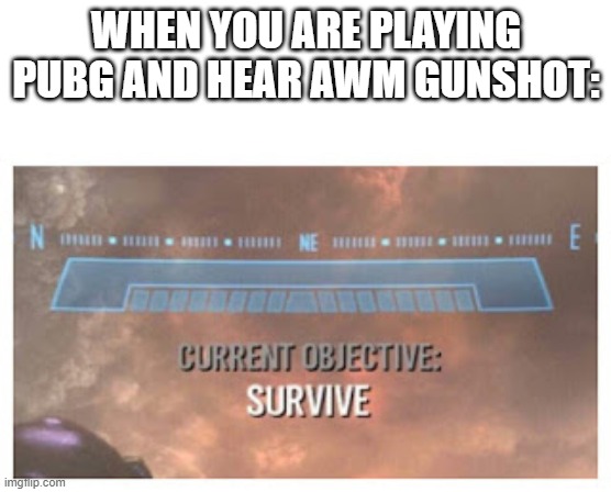 AAWM GUNSHOT is dangerous | WHEN YOU ARE PLAYING PUBG AND HEAR AWM GUNSHOT: | image tagged in current objective survive | made w/ Imgflip meme maker