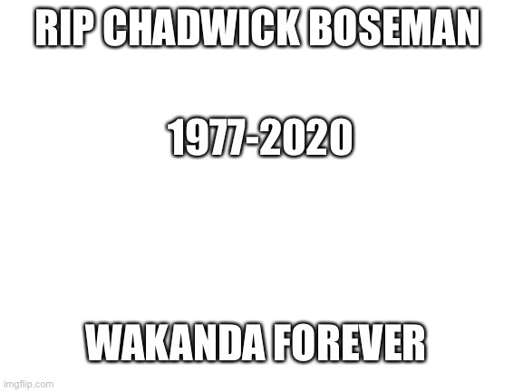 A True Legend | RIP CHADWICK BOSEMAN; 1977-2020; WAKANDA FOREVER | image tagged in blank white template,rip,chadwick boseman | made w/ Imgflip meme maker