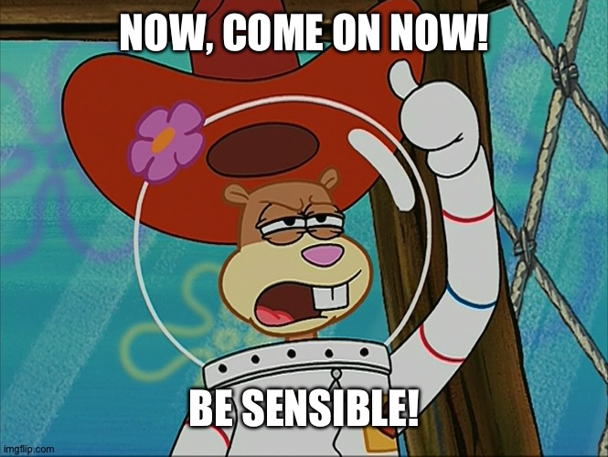Be Sensible! | NOW, COME ON NOW! BE SENSIBLE! | image tagged in sandy cheeks - tough,spongebob squarepants,sandy cheeks cowboy hat,advice,funny,memes | made w/ Imgflip meme maker