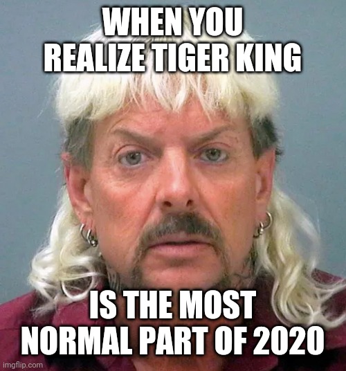WHEN YOU REALIZE TIGER KING; IS THE MOST NORMAL PART OF 2020 | image tagged in tiger king,2020 sucks,2020 | made w/ Imgflip meme maker