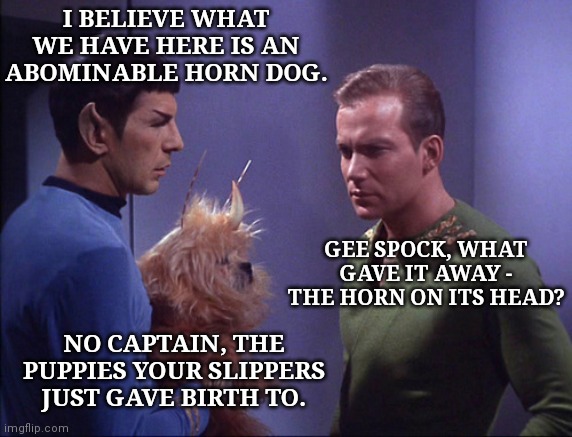Space dog on board | I BELIEVE WHAT WE HAVE HERE IS AN ABOMINABLE HORN DOG. GEE SPOCK, WHAT GAVE IT AWAY - THE HORN ON ITS HEAD? NO CAPTAIN, THE PUPPIES YOUR SLIPPERS JUST GAVE BIRTH TO. | image tagged in space dog,star trek,mr spock,captain kirk,humor | made w/ Imgflip meme maker