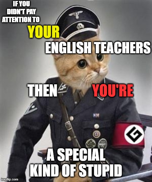 Grammar Nazi Cat |  IF YOU DIDN'T PAY ATTENTION TO; YOUR; ENGLISH TEACHERS; YOU'RE; THEN; A SPECIAL KIND OF STUPID | image tagged in grammar nazi cat,grammar nazi,bad grammar and spelling memes,spelling error,nazis | made w/ Imgflip meme maker