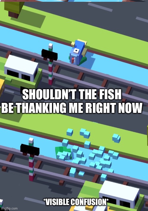 Crossy Road Memes | SHOULDN’T THE FISH BE THANKING ME RIGHT NOW; *VISIBLE CONFUSION* | image tagged in memes,crossy road | made w/ Imgflip meme maker