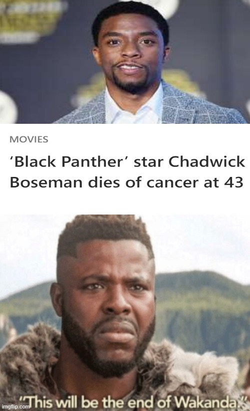 Wakanda Forever | image tagged in this will be the end of wakanda,chadwick boseman,cancer,wakanda,long live the king,black panther | made w/ Imgflip meme maker