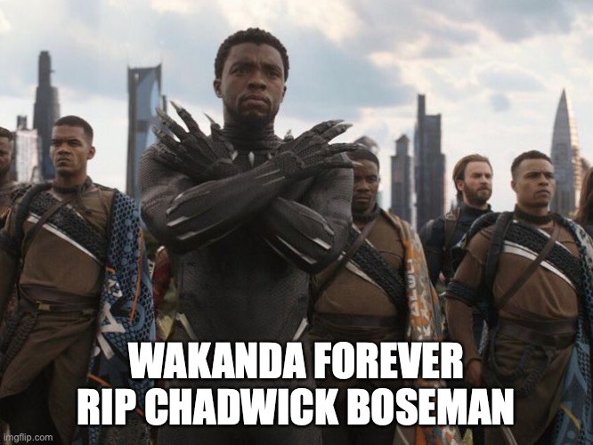 WAKANDA FOREVER | WAKANDA FOREVER RIP CHADWICK BOSEMAN | image tagged in wakanda forever | made w/ Imgflip meme maker