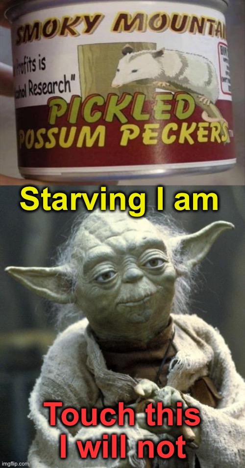 I’m with the little green guy. | image tagged in yoda,possum,memes,funny | made w/ Imgflip meme maker