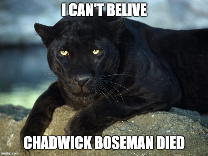 Wakanda Forever | I CAN'T BELIVE; CHADWICK BOSEMAN DIED | image tagged in black panther,chadwick boseman,cancer,wakanda forever,2020 | made w/ Imgflip meme maker
