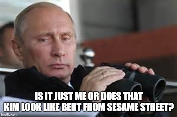 Putin Binoculars | IS IT JUST ME OR DOES THAT KIM LOOK LIKE BERT FROM SESAME STREET? | made w/ Imgflip meme maker