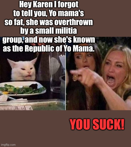 Woman yelling at cat | Hey Karen I forgot to tell you, Yo mama's so fat, she was overthrown by a small militia group, and now she's known as the Republic of Yo Mama. YOU SUCK! | image tagged in reverse smudge and karen | made w/ Imgflip meme maker