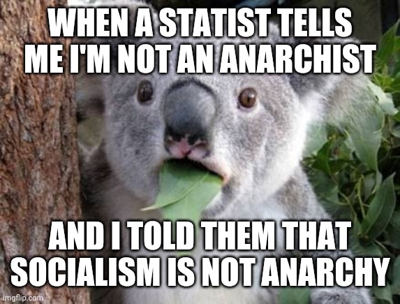 Stunned Koala | WHEN A STATIST TELLS ME I'M NOT AN ANARCHIST; AND I TOLD THEM THAT SOCIALISM IS NOT ANARCHY | image tagged in stunned koala | made w/ Imgflip meme maker