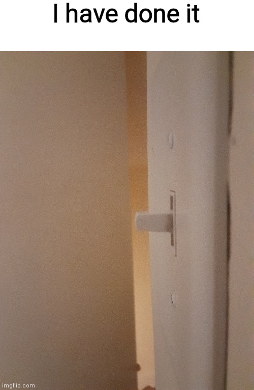 I have achieved what I wanted to achieve since I was 7 years old | I have done it | image tagged in memes,funny,light switch | made w/ Imgflip meme maker