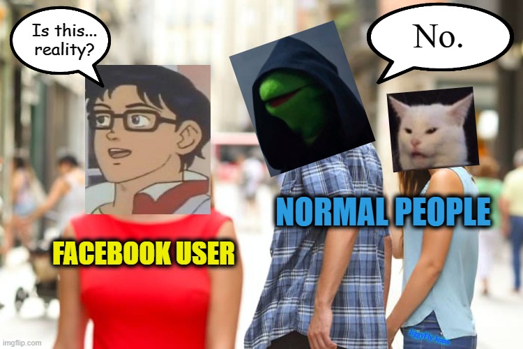 Distracted Boyfriend | No. Is this... reality? NORMAL PEOPLE; FACEBOOK USER; JiggyFly Jeans | image tagged in distracted boyfriend,facebook jail,msm lies,cnn fake news,wake up,sheeple | made w/ Imgflip meme maker