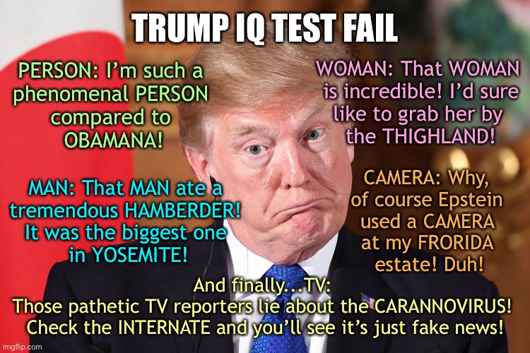 TRUMP IQ TEST FAIL | TRUMP IQ TEST FAIL; WOMAN: That WOMAN 
is incredible! I’d sure
like to grab her by 
the THIGHLAND! PERSON: I’m such a 
phenomenal PERSON 
compared to 
OBAMANA! MAN: That MAN ate a 
tremendous HAMBERDER! 
It was the biggest one 
in YOSEMITE! CAMERA: Why, 
of course Epstein 
used a CAMERA 
at my FRORIDA 
estate! Duh! And finally...TV: 
Those pathetic TV reporters lie about the CARANNOVIRUS! 
Check the INTERNATE and you’ll see it’s just fake news! | image tagged in trump dumbfounded,trump,trump fake news,donald trump is an idiot,trump meme,coronavirus | made w/ Imgflip meme maker