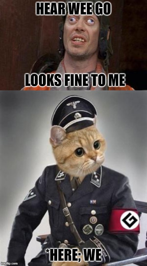 HEAR WEE GO; LOOKS FINE TO ME; *HERE; WE | image tagged in looks fine to me,grammar nazi cat,grammar nazi,bad grammar and spelling memes,mistakes,spelling matters | made w/ Imgflip meme maker