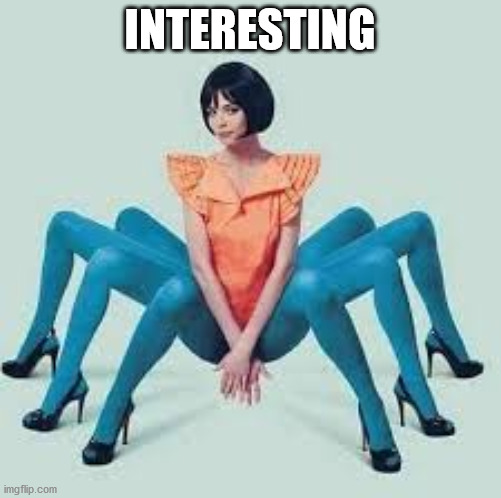 Spider girl | INTERESTING | image tagged in spider girl | made w/ Imgflip meme maker