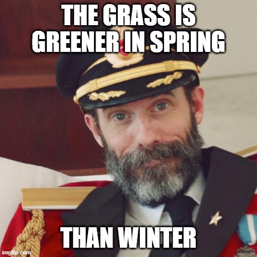 Captain Obvious | THE GRASS IS GREENER IN SPRING; THAN WINTER | image tagged in captain obvious,thanks captain obvious,obvious,memes | made w/ Imgflip meme maker