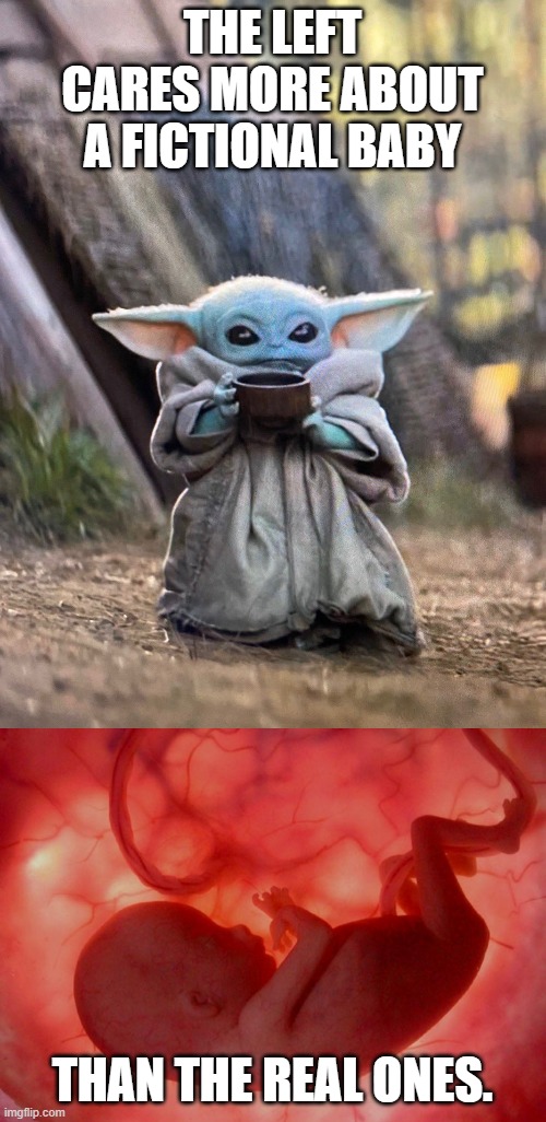 THE LEFT CARES MORE ABOUT A FICTIONAL BABY THAN THE REAL ONES. | image tagged in fetus,baby yoda tea | made w/ Imgflip meme maker