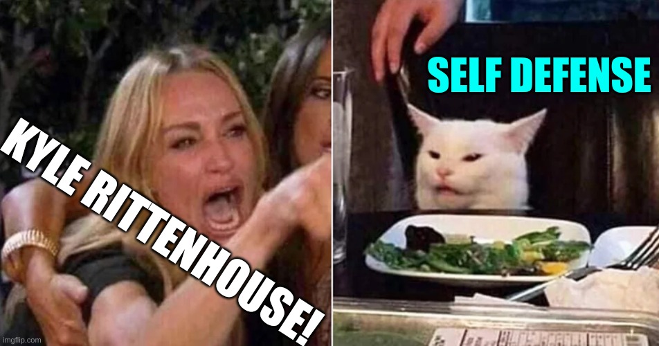 excuses | SELF DEFENSE; KYLE RITTENHOUSE! | image tagged in woman yelling at cat cropped | made w/ Imgflip meme maker