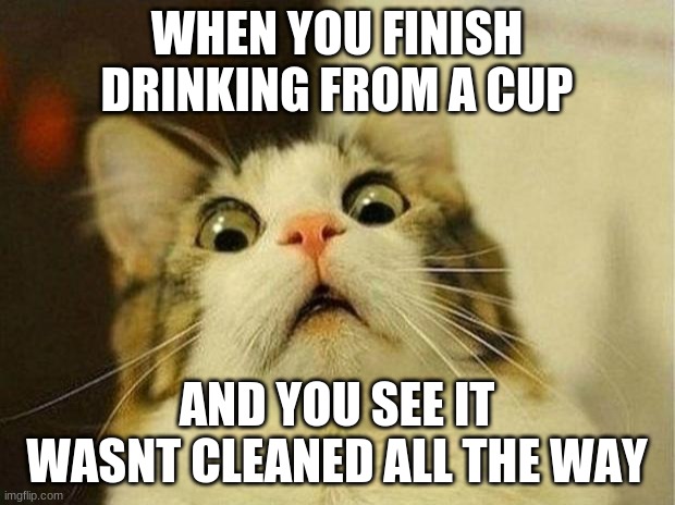 Scared Cat Meme | WHEN YOU FINISH DRINKING FROM A CUP; AND YOU SEE IT WASNT CLEANED ALL THE WAY | image tagged in memes,scared cat,drink | made w/ Imgflip meme maker