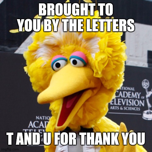 Big Bird Meme | BROUGHT TO YOU BY THE LETTERS T AND U FOR THANK YOU | image tagged in memes,big bird | made w/ Imgflip meme maker