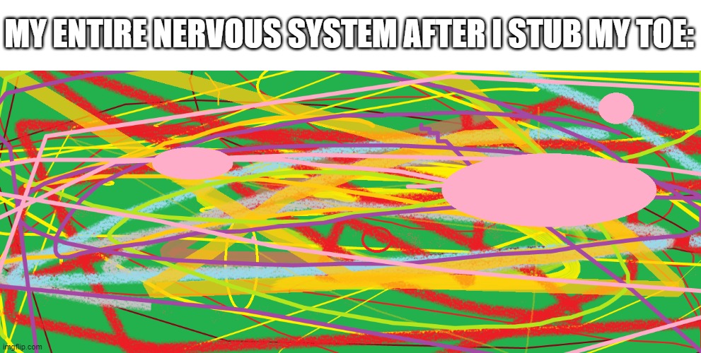 My nervous system after I stub my toe | MY ENTIRE NERVOUS SYSTEM AFTER I STUB MY TOE: | image tagged in nervous system | made w/ Imgflip meme maker