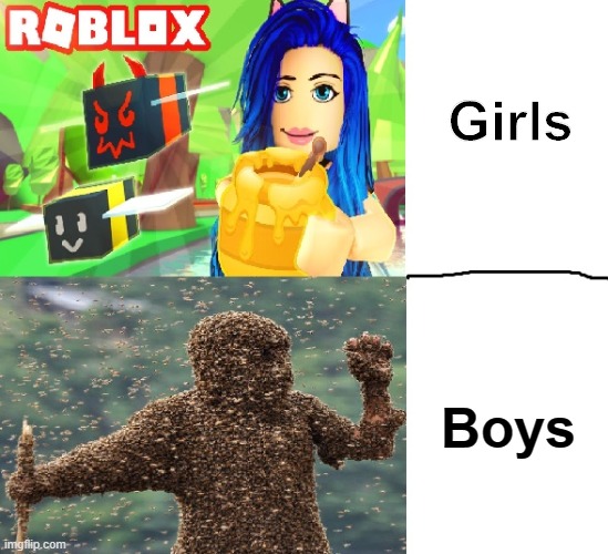 Bee swarm simulator | Girls; Boys | image tagged in roblox meme | made w/ Imgflip meme maker