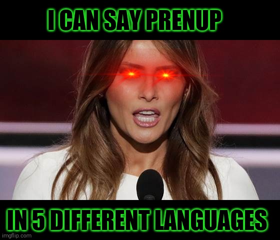 Golddigger Einstein level | I CAN SAY PRENUP; IN 5 DIFFERENT LANGUAGES | image tagged in memes,melania trump,speech | made w/ Imgflip meme maker