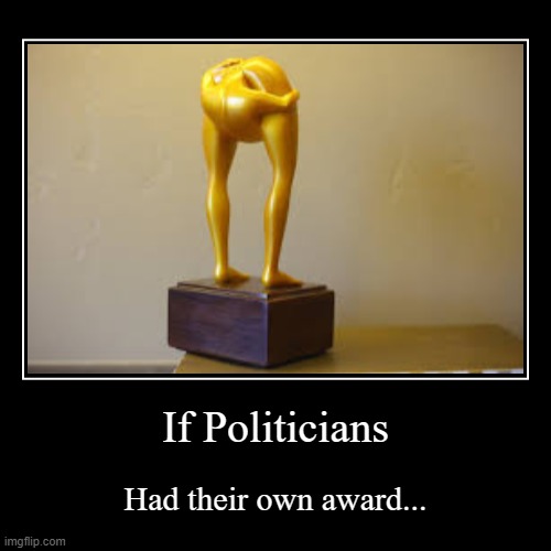 image tagged in funny,demotivationals,politics,political humor,politics lol,award | made w/ Imgflip demotivational maker