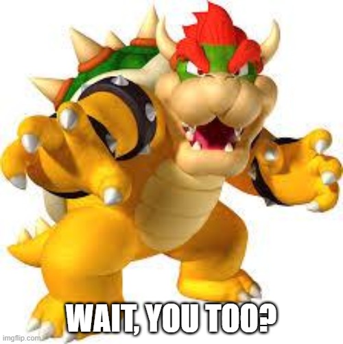 Bowser | WAIT, YOU TOO? | image tagged in bowser | made w/ Imgflip meme maker