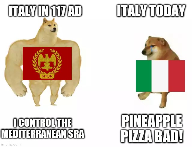 Buff Doge vs. Cheems | ITALY TODAY; ITALY IN 117 AD; I CONTROL THE MEDITERRANEAN SRA; PINEAPPLE PIZZA BAD! | image tagged in buff doge vs cheems | made w/ Imgflip meme maker