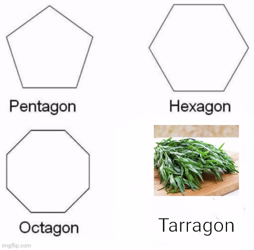 Gon gon gon gon gon. | Tarragon | image tagged in memes,pentagon hexagon octagon,tarragon,spices,herbs,lame | made w/ Imgflip meme maker