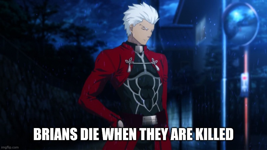 Archer fate | BRIANS DIE WHEN THEY ARE KILLED | image tagged in archer fate | made w/ Imgflip meme maker