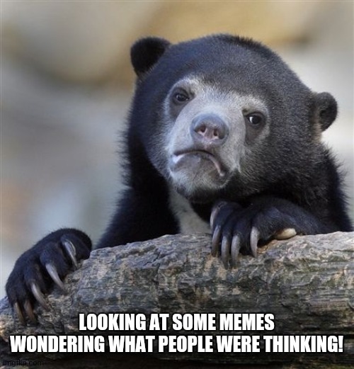 Confession Bear | LOOKING AT SOME MEMES WONDERING WHAT PEOPLE WERE THINKING! | image tagged in memes,confession bear | made w/ Imgflip meme maker