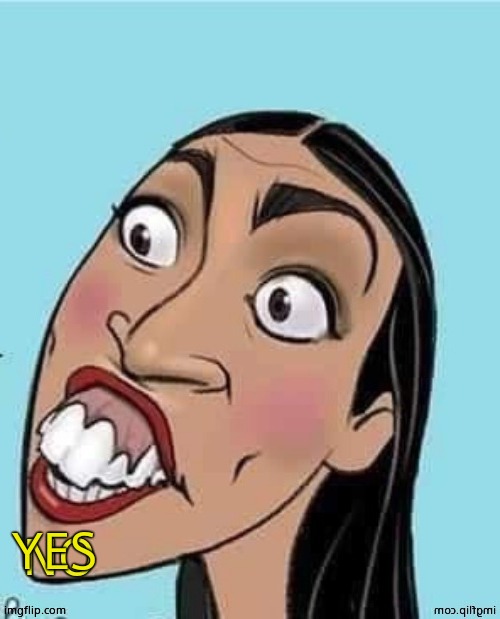 AOC no | YES | image tagged in aoc no | made w/ Imgflip meme maker