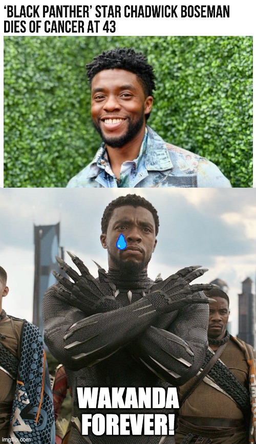 Could 2020 get any worse? | WAKANDA FOREVER! | image tagged in wakanda forever,memes,black panther | made w/ Imgflip meme maker