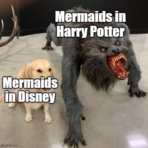 Good dog scary dog | Mermaids in Harry Potter; Mermaids in Disney | image tagged in good dog scary dog | made w/ Imgflip meme maker