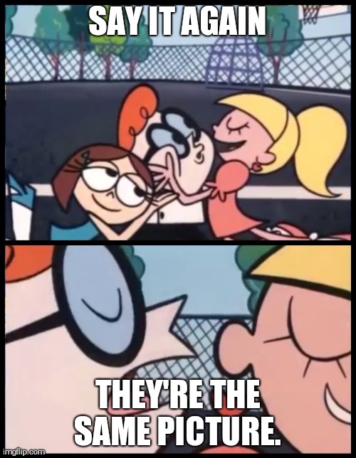 Say it Again, Dexter Meme | SAY IT AGAIN; THEY'RE THE SAME PICTURE. | image tagged in memes,say it again dexter,they're the same picture | made w/ Imgflip meme maker