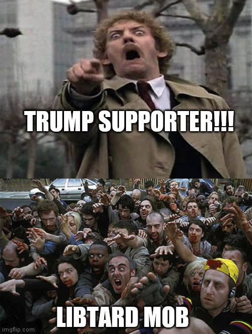 TRUMP SUPPORTER!!! LIBTARD MOB | image tagged in zombies approaching,memes | made w/ Imgflip meme maker