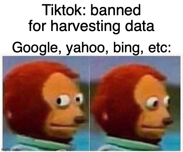 Monkey Puppet Meme | Tiktok: banned for harvesting data; Google, yahoo, bing, etc: | image tagged in memes,monkey puppet,cleanmemes | made w/ Imgflip meme maker