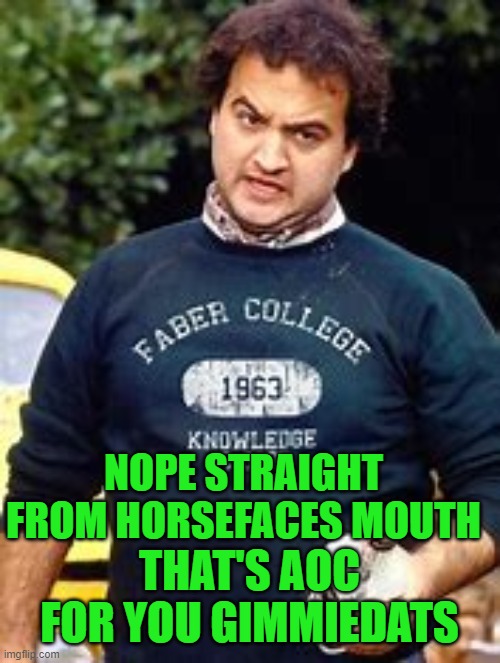 NOPE STRAIGHT FROM HORSEFACES MOUTH THAT'S AOC FOR YOU GIMMIEDATS | made w/ Imgflip meme maker