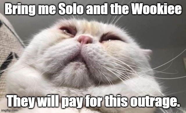 Bring me Solo and the Wookiee They will pay for this outrage. | made w/ Imgflip meme maker
