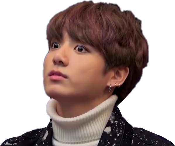 SHOOK (JungKook) | image tagged in shook | made w/ Imgflip meme maker