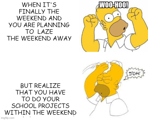 Woohoo..... and then D'Oh! | WHEN IT'S FINALLY THE WEEKEND AND YOU ARE PLANNING TO  LAZE THE WEEKEND AWAY; BUT REALIZE THAT YOU HAVE TO DO YOUR SCHOOL PROJECTS WITHIN THE WEEKEND | image tagged in homer simpson | made w/ Imgflip meme maker