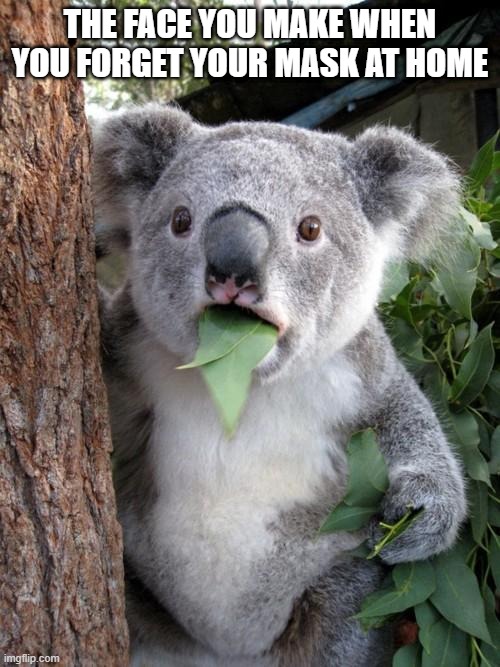 Surprised Koala Meme | THE FACE YOU MAKE WHEN YOU FORGET YOUR MASK AT HOME | image tagged in memes,surprised koala | made w/ Imgflip meme maker