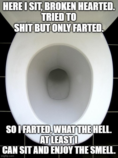 TOILET | HERE I SIT, BROKEN HEARTED.
TRIED TO SHIT BUT ONLY FARTED. SO I FARTED, WHAT THE HELL.
AT LEAST I CAN SIT AND ENJOY THE SMELL. | image tagged in toilet | made w/ Imgflip meme maker