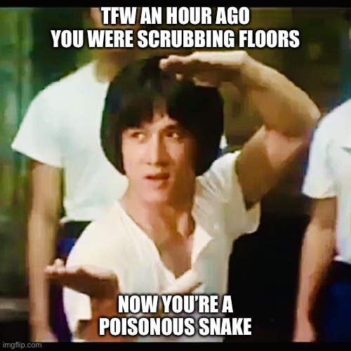 Jackie Chan | TFW AN HOUR AGO YOU WERE SCRUBBING FLOORS; NOW YOU’RE A POISONOUS SNAKE | image tagged in jackie in the eagles shadow,snake in the eagles shadow,yuen woo-ping,jackie chan,kung fu,classic | made w/ Imgflip meme maker