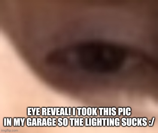 EYE REVEAL! I TOOK THIS PIC IN MY GARAGE SO THE LIGHTING SUCKS :/ | made w/ Imgflip meme maker