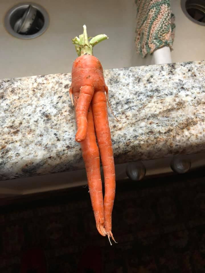 High Quality Carrot Porn Blank Meme Template